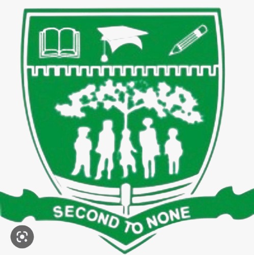 Infographic flier for Think Advancement Initiative Empowerment Foundation (TAIEF) highlighting school collaborations, TokLak digital tech curriculum, and varsity readiness courses in Nigeria.